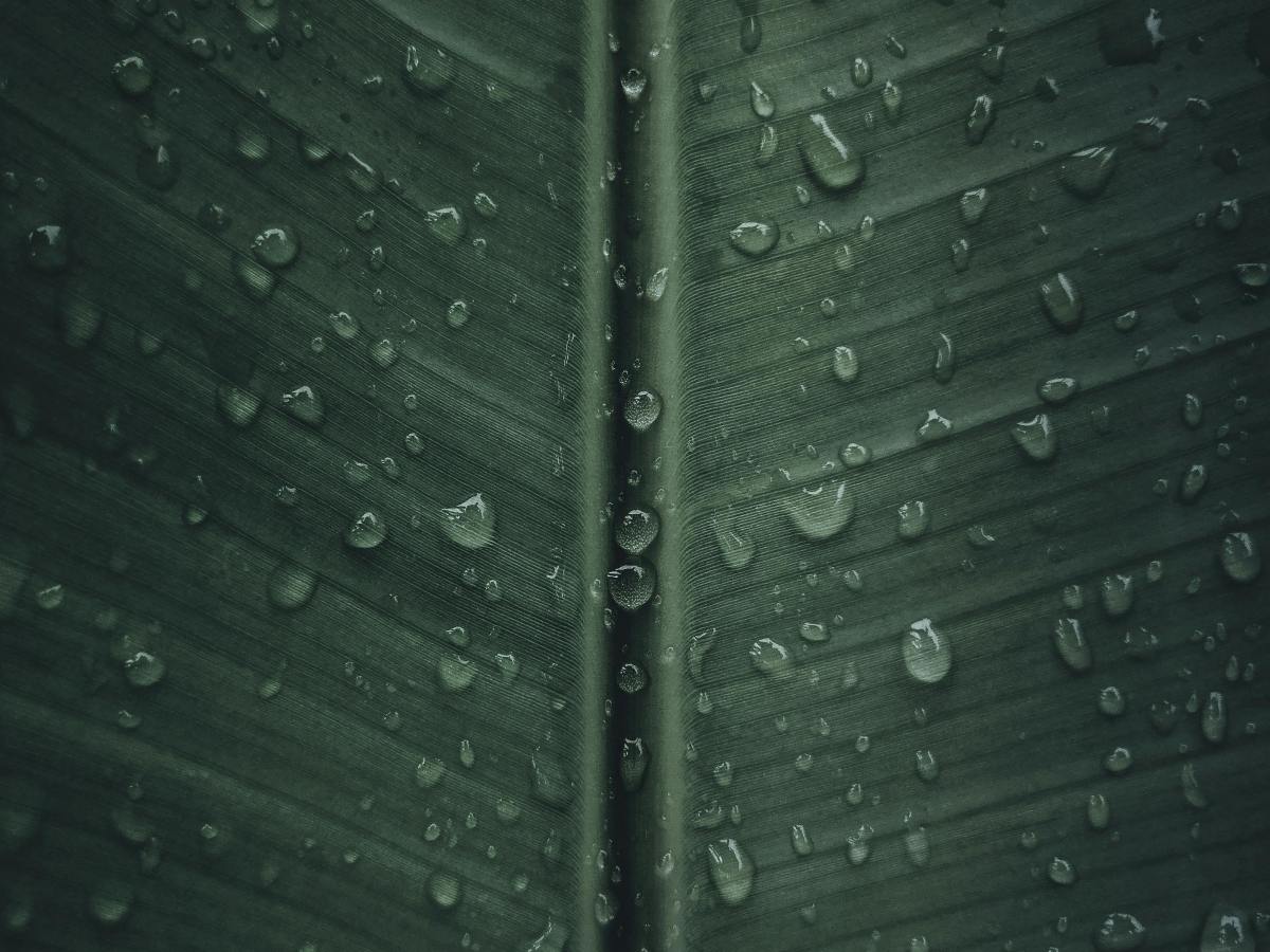 How to Keep Your Hair Smooth in Rain and Humidity